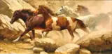 Bonnie Marris, Into Blanco Canyon
