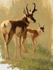 Greg Beecham, Two of a Kind, Oil on board