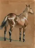 Frederic Remington, Study of Brown Horse, Watercolor