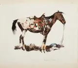 Laverne Nelson Black, Saddled Pony