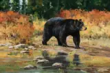 Ken Carlson, Meandering, Oil on board