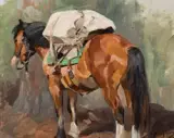 Carl Rungius, Pack Horse, Oil on board
