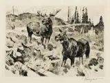 Carl Rungius, Mates, Etching