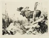 Carl Rungius, Alaskan Wilderness, Etching
