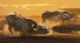 Dust Bath by Bob Kuhn, Acrylic, offered Apr 2018
