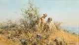 David Shepherd, Cheetahs