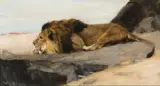 Wilhelm Kuhnert, Lion on the Lurk