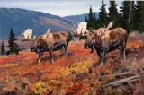 Ken Carlson, Age Old Trails