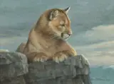 Robert Bateman, Alert