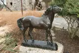 Veryl Goodnight, Spirit Horse