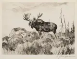 Carl Rungius, The Wanderer, Etching