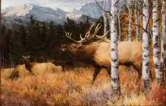 Ray Sexton, Autumn Elk, Oil on canvas
