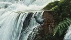 Robert Bateman, Dipper by the Waterfall, Acrylic