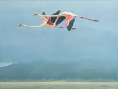 Robert Bateman, Flamingos in Ngorongoro, Acrylic