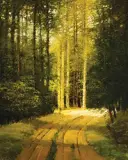 Jerry Jordan, Spring Light, Aspen Glow, Oil on canvas
