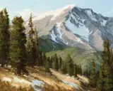 Carole Cooke, Sunlight & Shadow, Oil on board