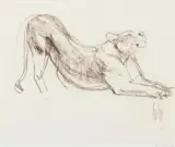 Bob Kuhn, Stretching Lion & Male Lion – SOLD AS A SET, Conte Crayon