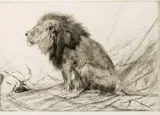 Wilhelm Kuhnert, Lowe & Konigster, Etching, edition number 18/60 & 7/60