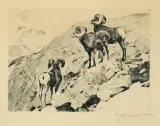 Carl Rungius, Cliff Dwellers, Etching