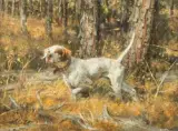 Robert Kennedy Abbett, Pointer in the Pines, Oil on board