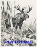 Carl Rungius, Set of 43, Etchings
