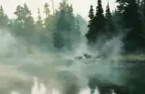Lanford Monroe, Moose in Mist, Oil on canvas