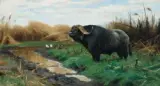 Wilhelm Kuhnert, A Buffalo in a Marsh, Oil on canvas