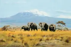 Elephants by John Seerey-Lester, Oil on canvas, sold Apr 2019