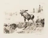 Carl Rungius, Morning Mist, Etching & Drypoint