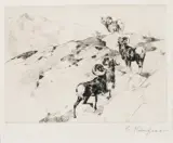 Carl Rungius, Alarmed, Etching & Drypoint