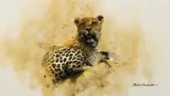 Leopard by David Shepherd, Oil on canvas, sold Apr 2019