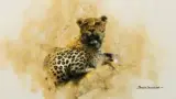 David Shepherd, Leopard, Oil on canvas