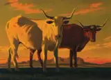 Ed Mell, Sonoran Cattle