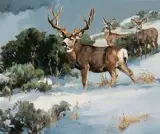 Luke Frazier, Buck Fever