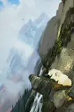 Goats Near the Crest by Michael Coleman, Oil on board, offered Apr 2019
