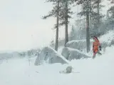 Michael Coleman, Winter Kill