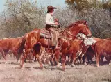 Ray Swanson, The Kid’s A Cowboy