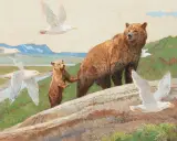 Bob Kuhn, Alaska Fly By