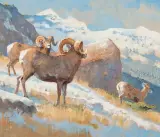 Bob Kuhn, Contenders