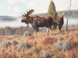 Tucker Smith, Morning Fog, Oil on canvas