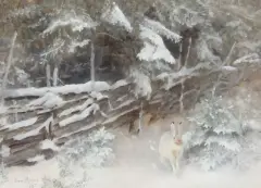 Bruno Liljefors, White Rabbit in Winter, Oil on canvas