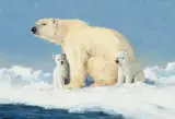 Ken Carlson, Protecting the Future