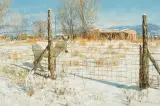Clark Hulings, Burro Near Talpa, NM, Oil on canvas