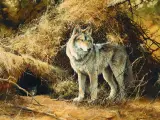 Bonnie Marris, By the Den