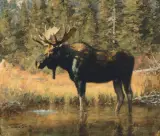 Tucker Smith, His Territory, Oil on canvas