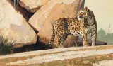 Bob Kuhn, Rocky Outcrop