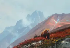 High Range Bear by Michael Coleman, Oil on board, sold Jun 2020