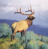 William Alther, Reigning Champ, Oil on board