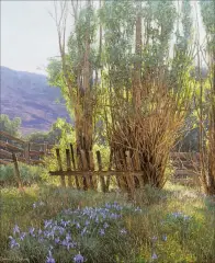 Dennis Doheny, Wild Iris, Oil on canvas