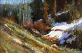 Cyrus Afsary, Last of the Snow, Oil on canvas